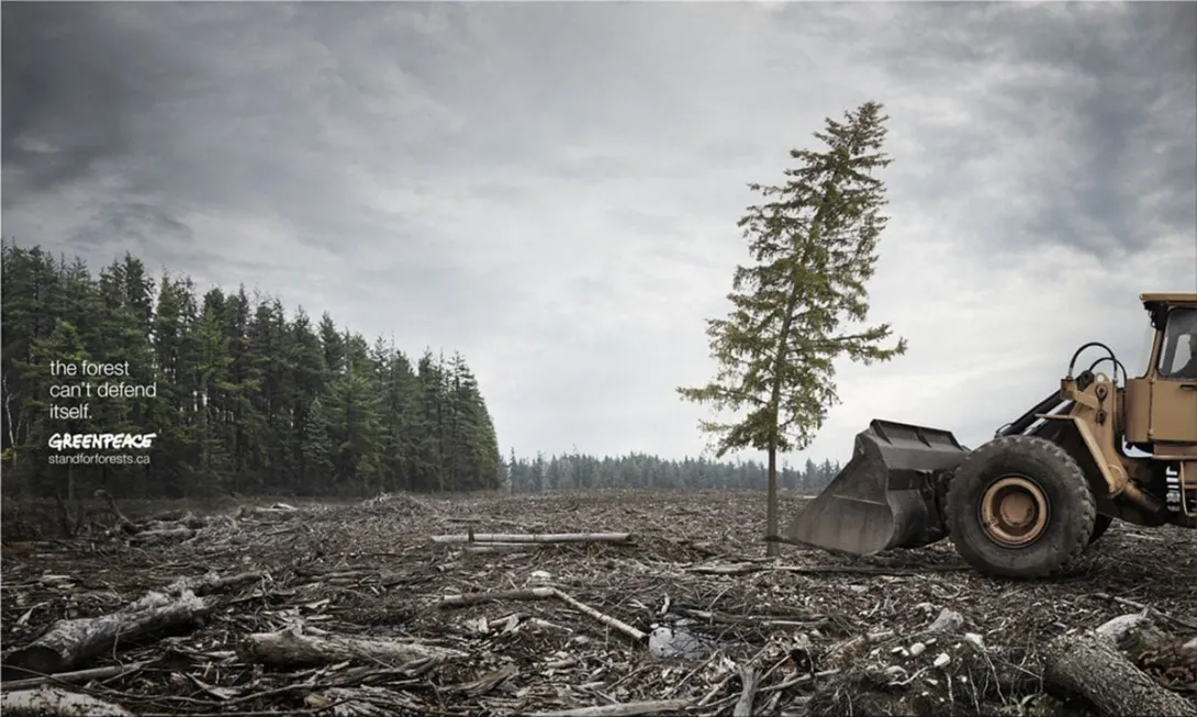 Greenpeace print ads
