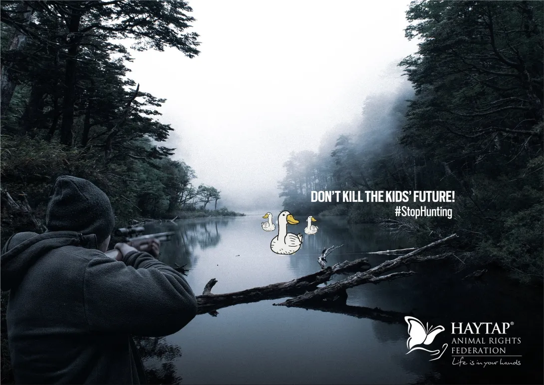 Haytap #StopHunting ads