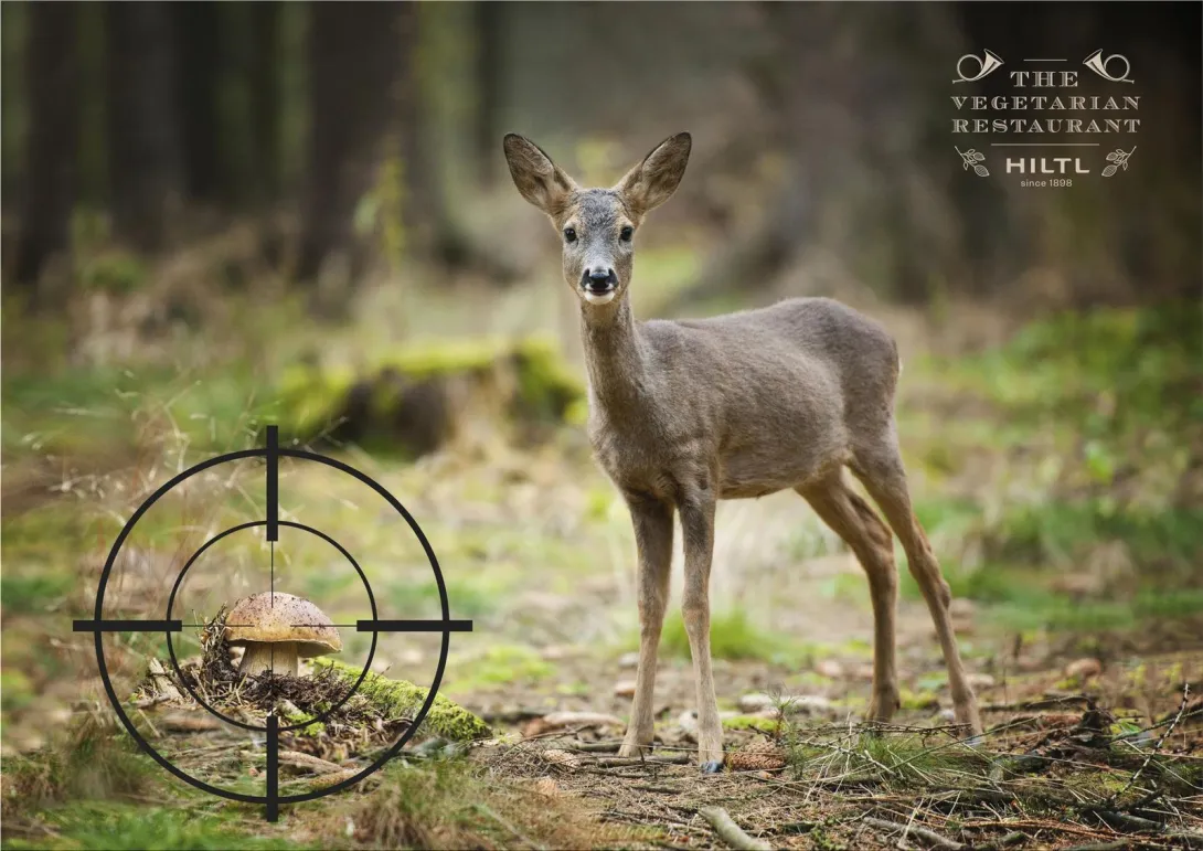 Hiltl "enjoyment food never comes at the expense of animals"