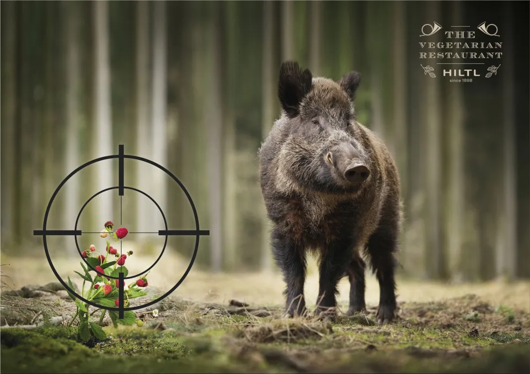 Hiltl "enjoyment food never comes at the expense of animals"