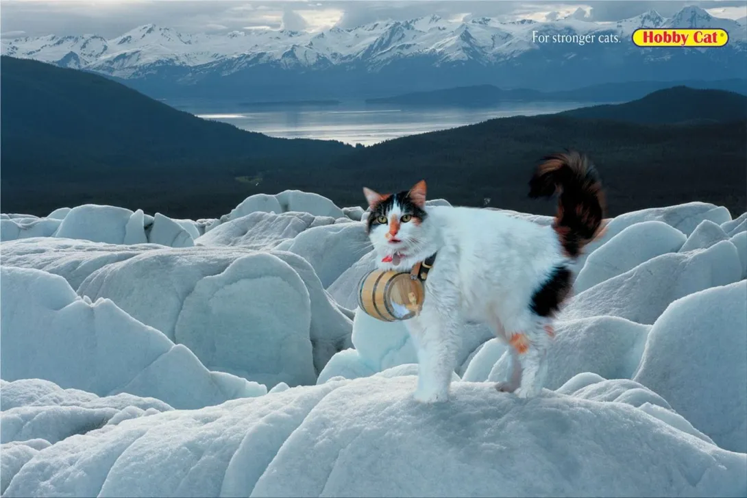 Hobby Cat ads