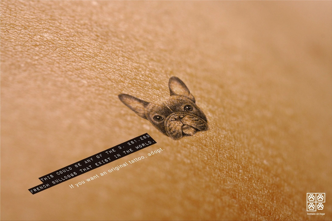 Homeless Animals "If you want an original tattoo, adopt!"