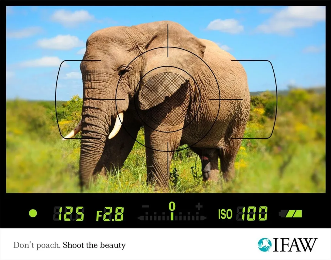 IFAW print ads