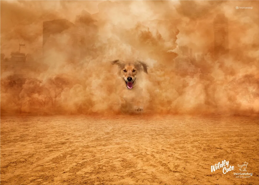 Incrível Dog "Wildly Cute"
