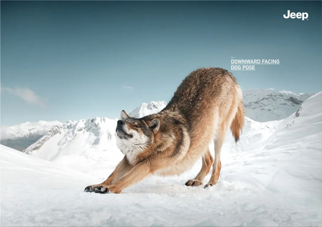 Jeep "Yoga Animals"