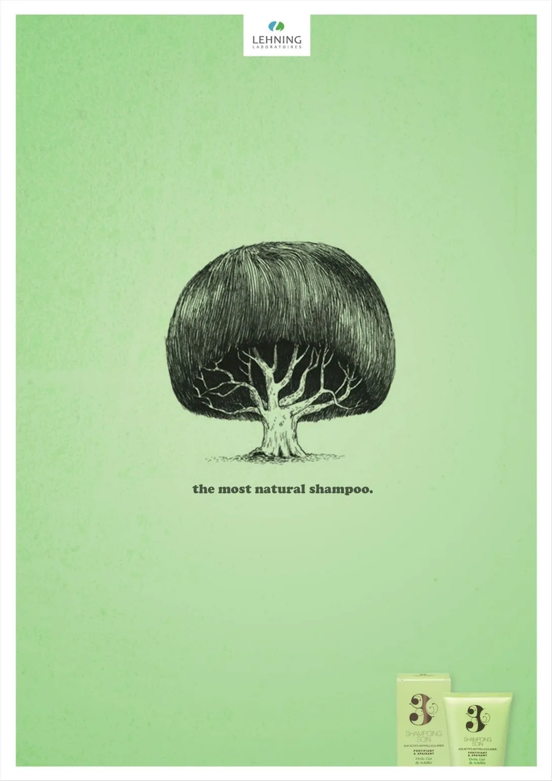 Lehning shampoo