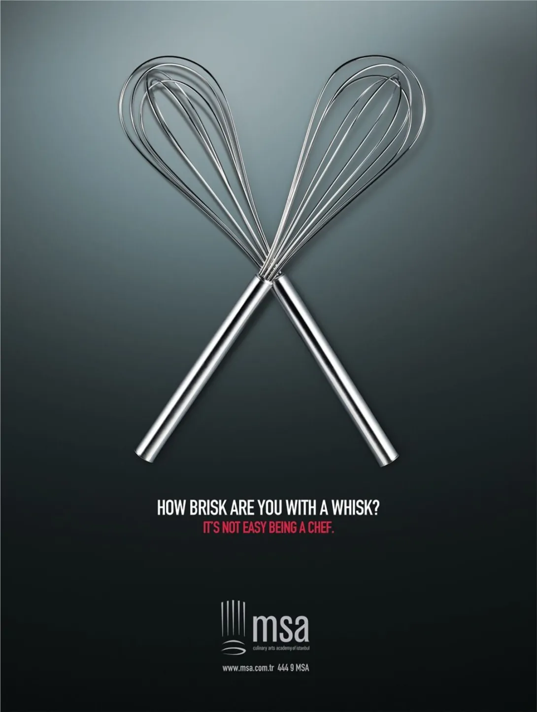 MSA Culinary Arts Academy print