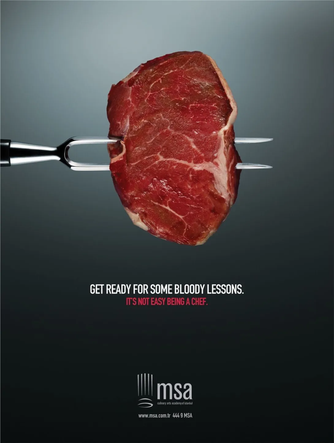 MSA Culinary Arts Academy