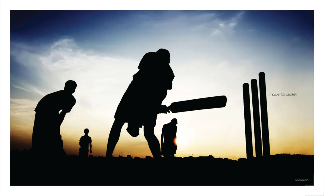 Made for cricket