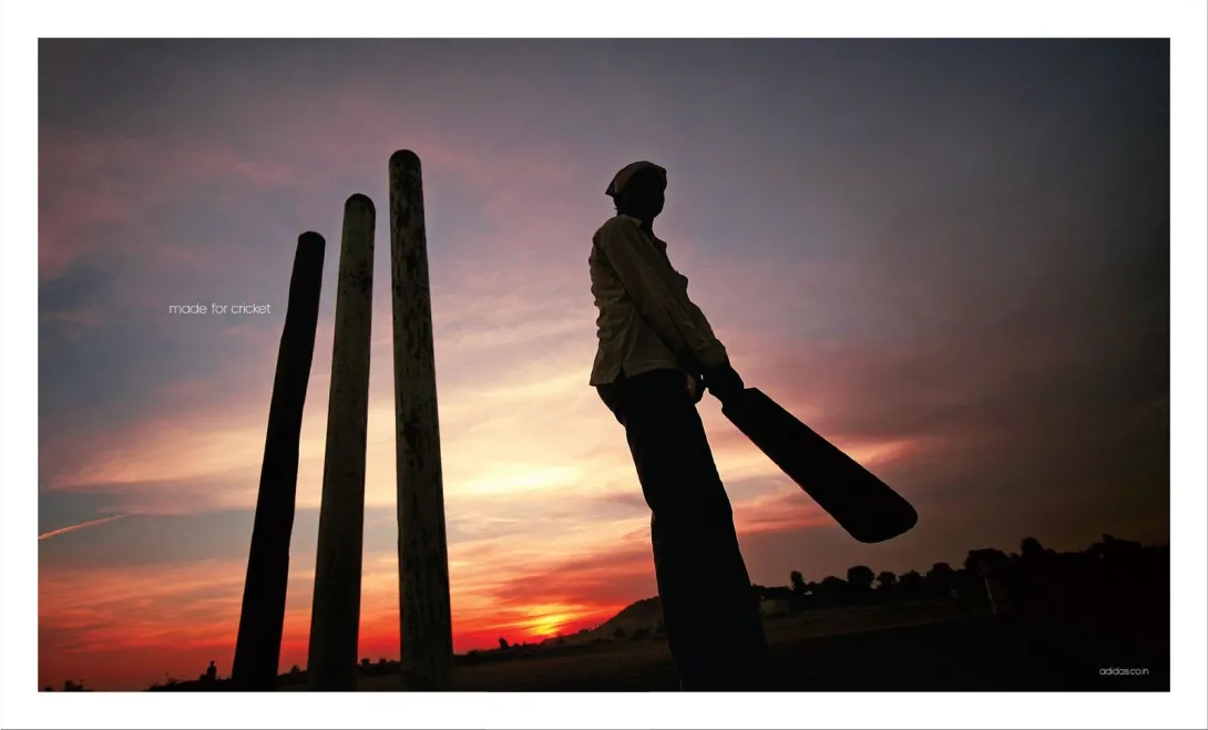 Made for cricket