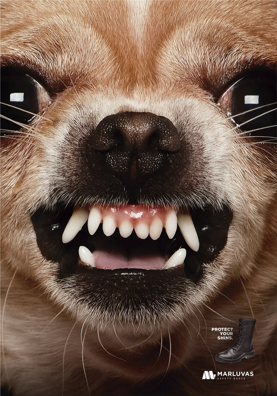 Marluvas Safety Boots print ads