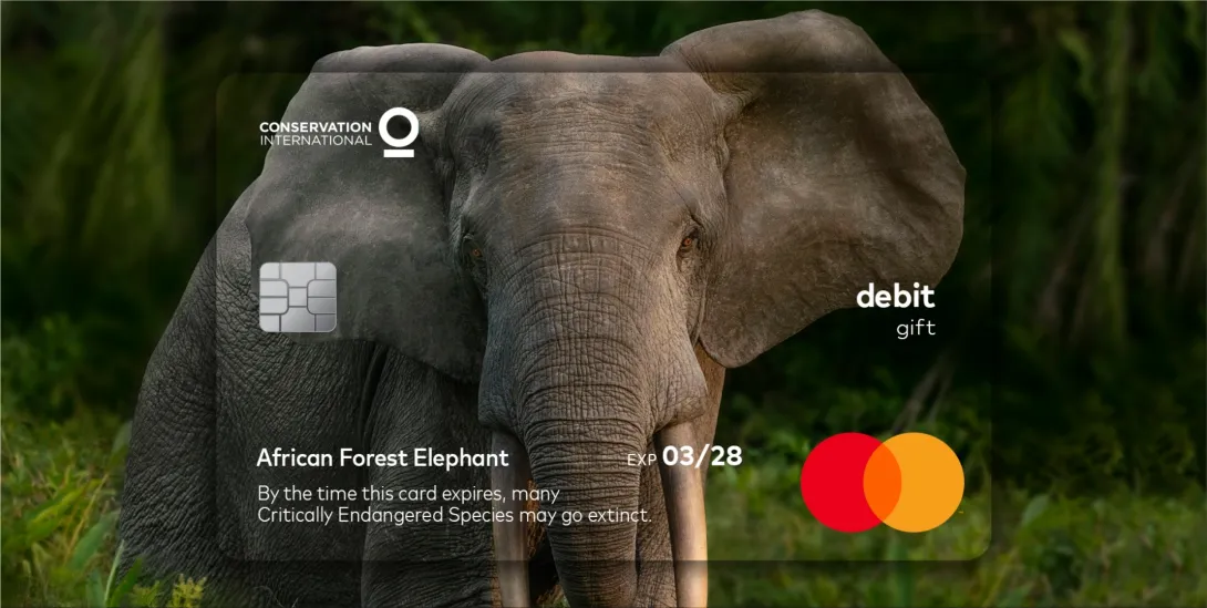 MasterCard ad campaign