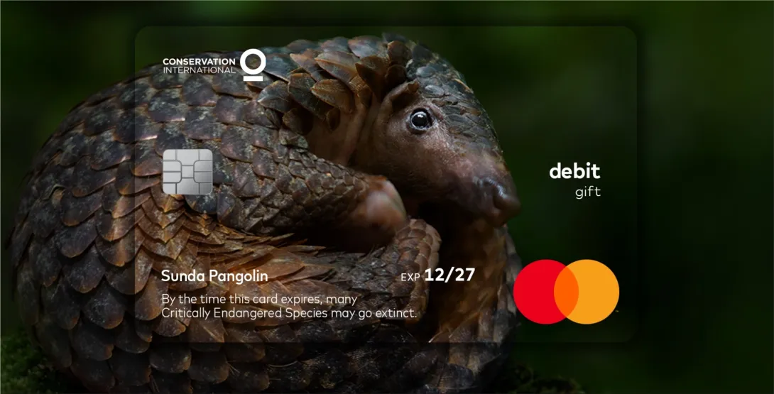 MasterCard ad campaign