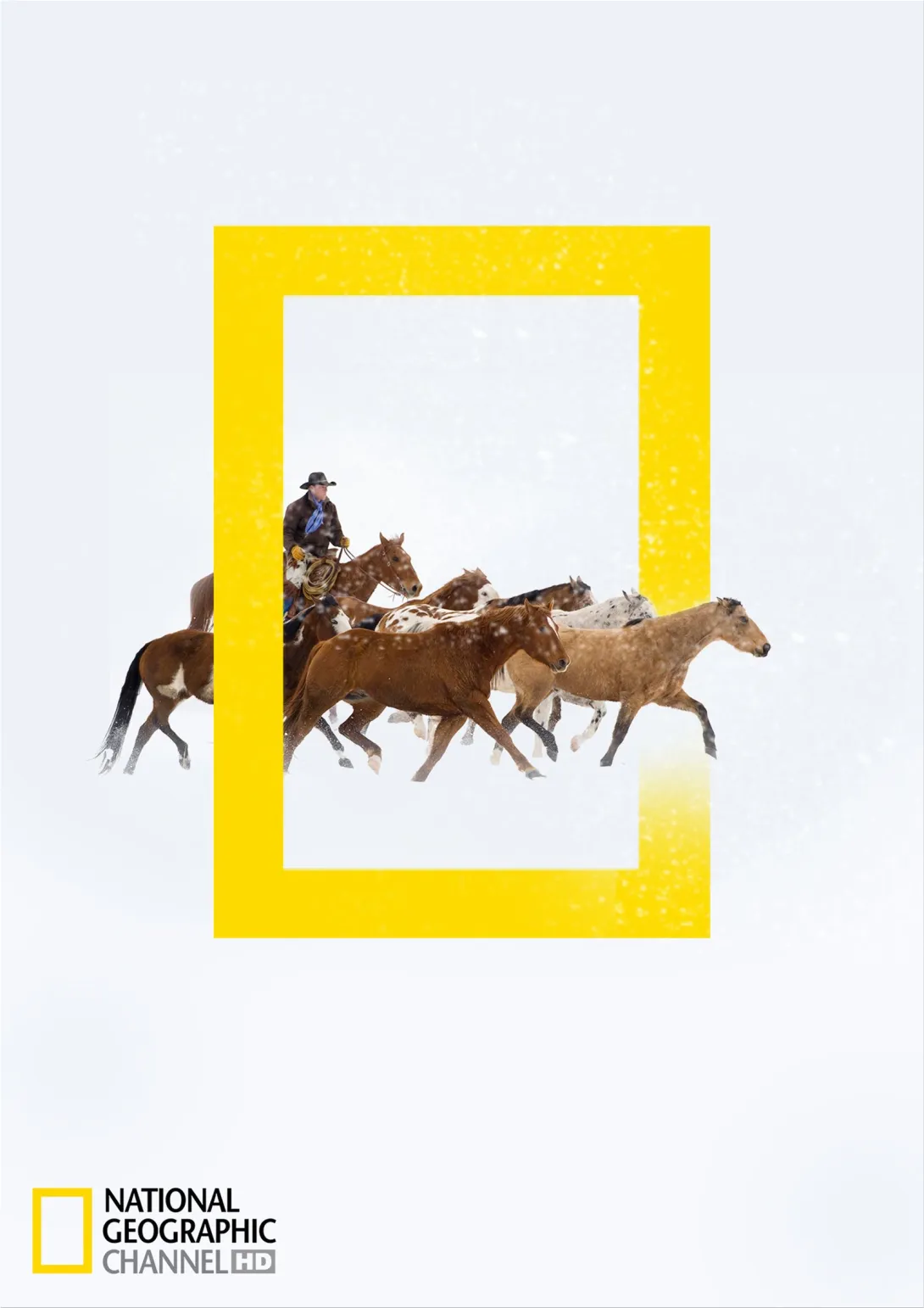 National Geographic HD Channel