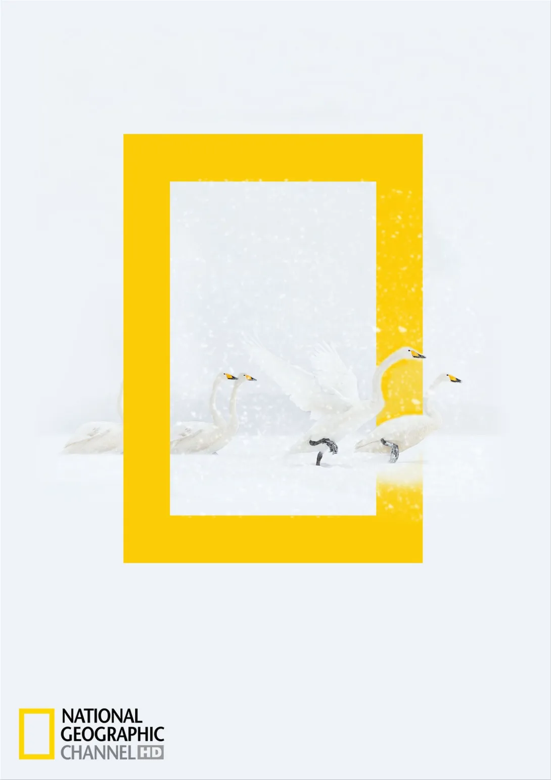 National Geographic HD Channel