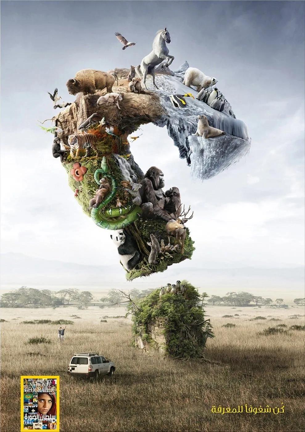 National Geographic ads