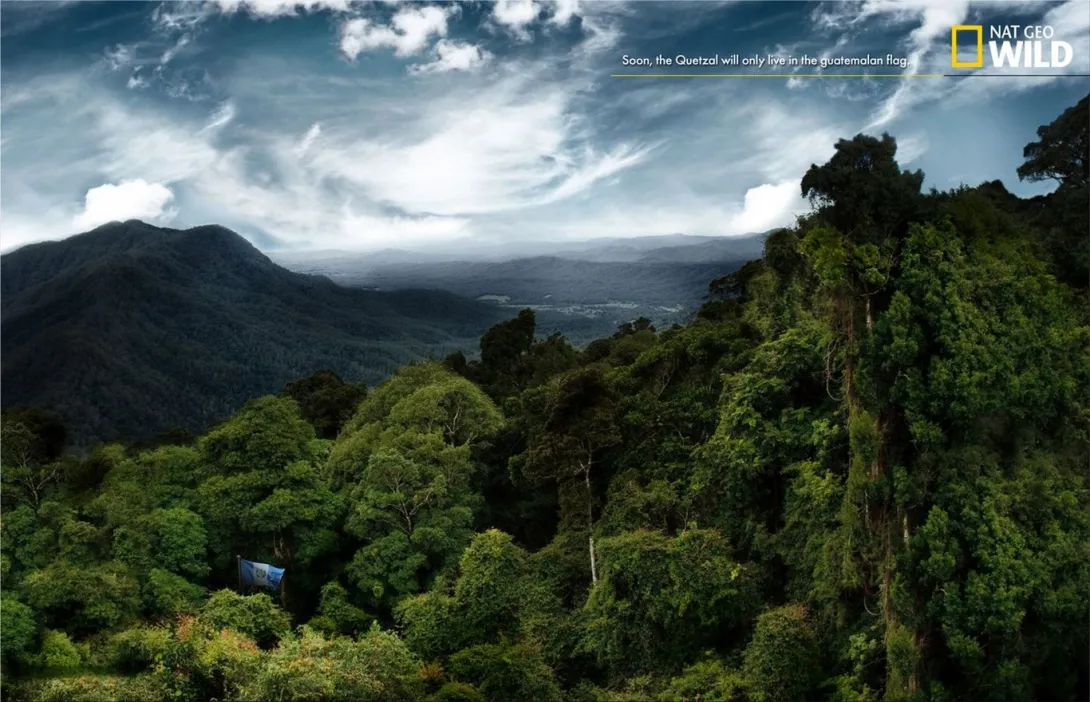 National Geographic print ads
