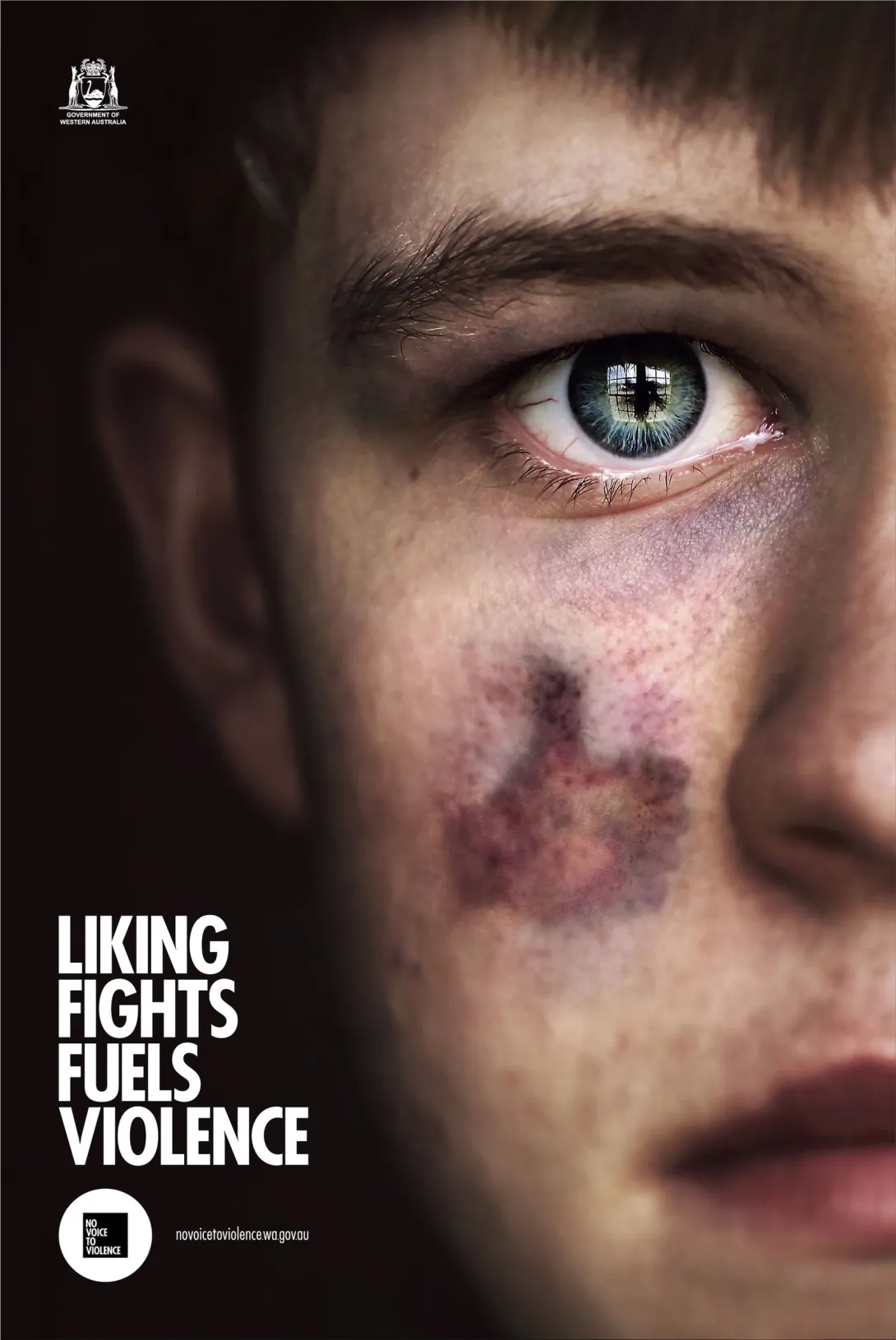 No Voice to Violence "Violence in Schools"