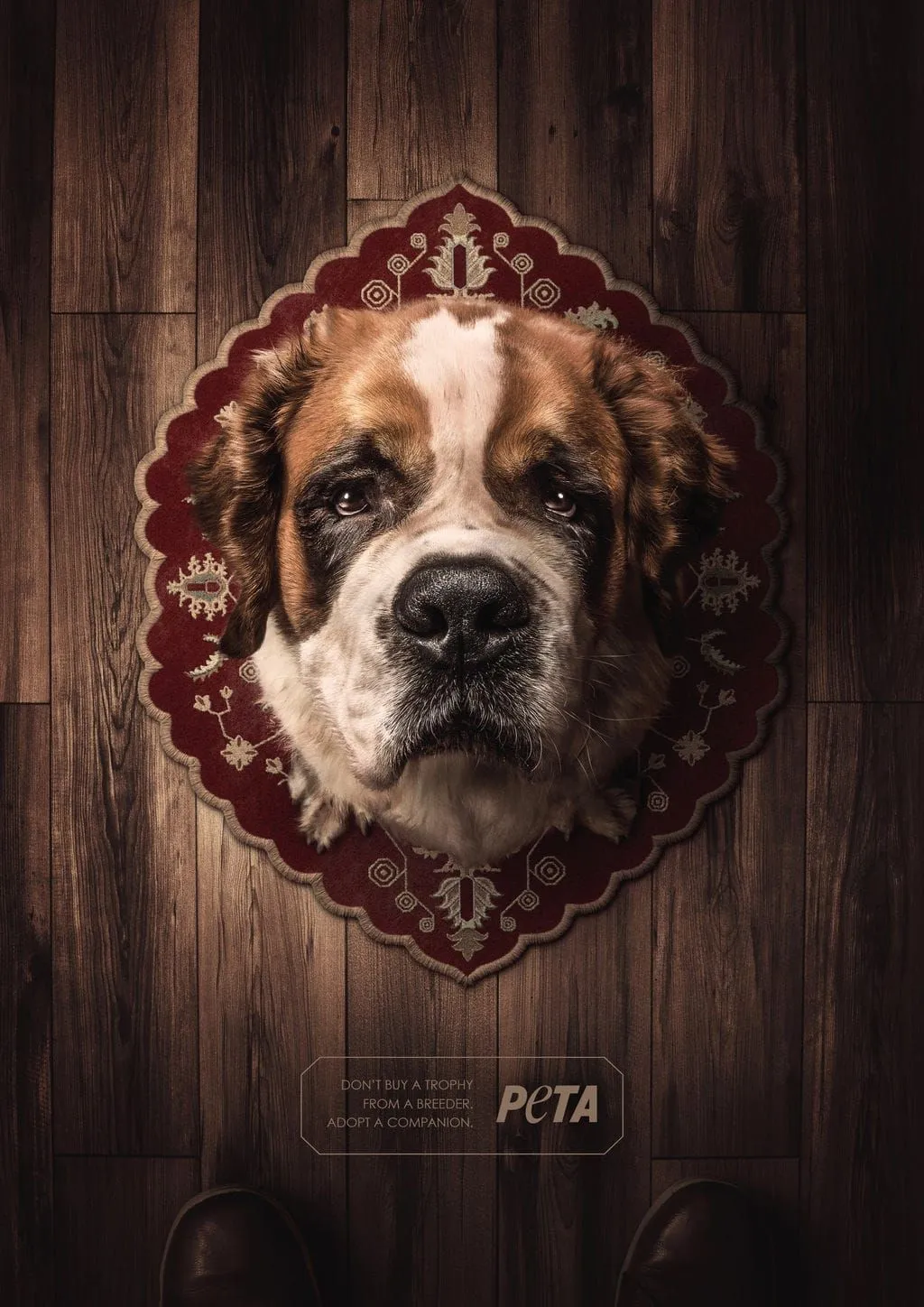 PETA: Adopt a companion