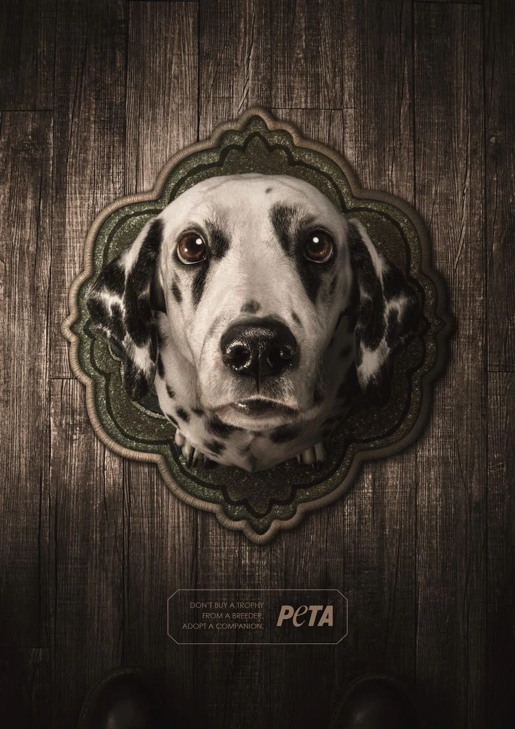 PETA: Adopt a companion
