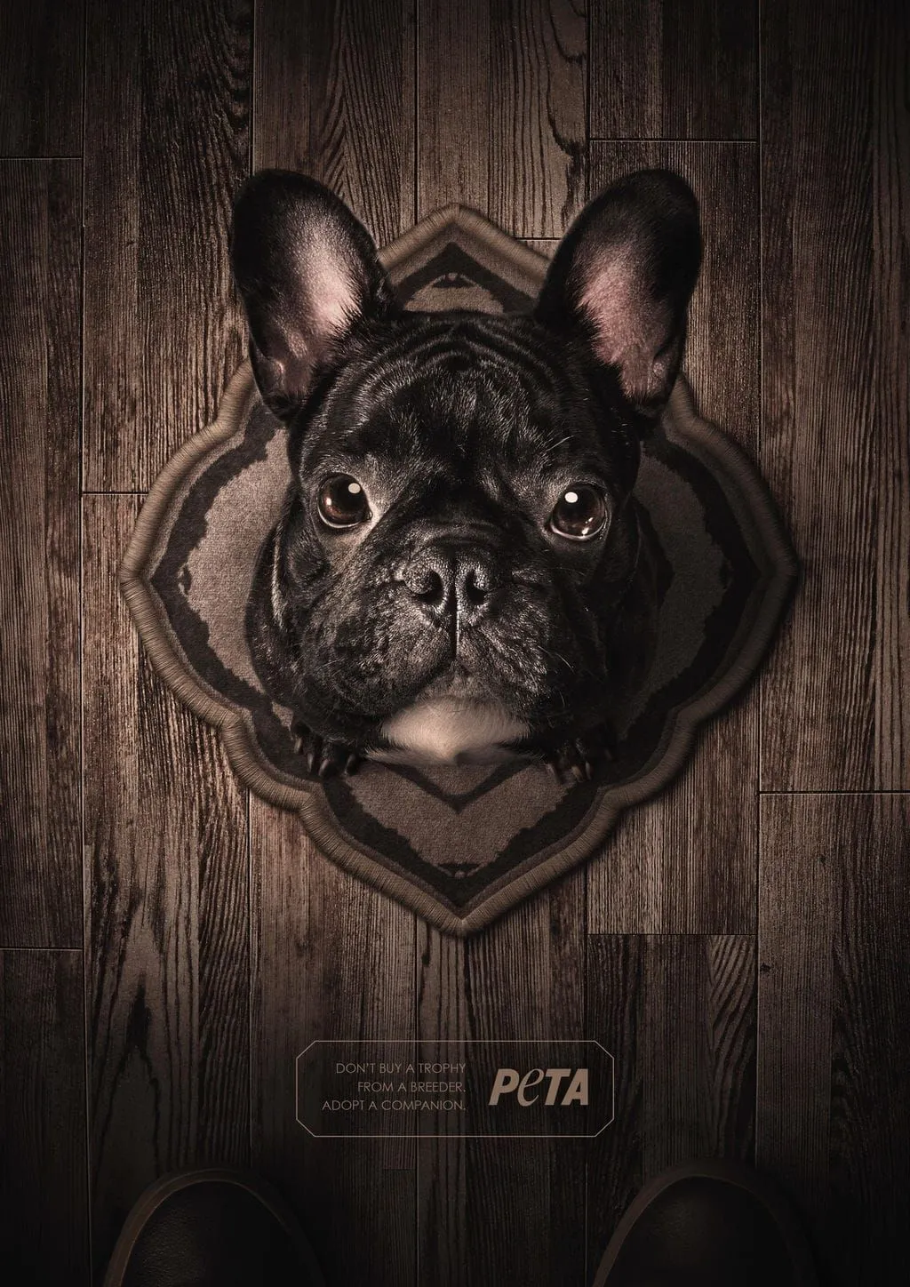 PETA: Adopt a companion