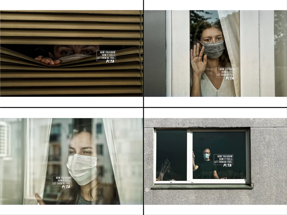PETA print advertisement