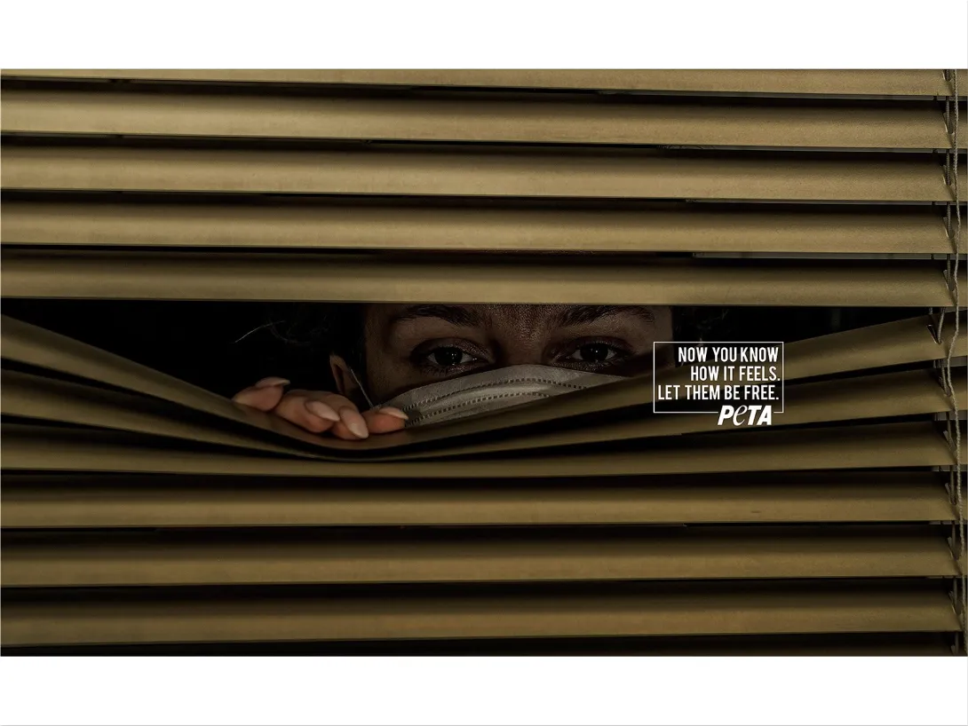 PETA print advertisement
