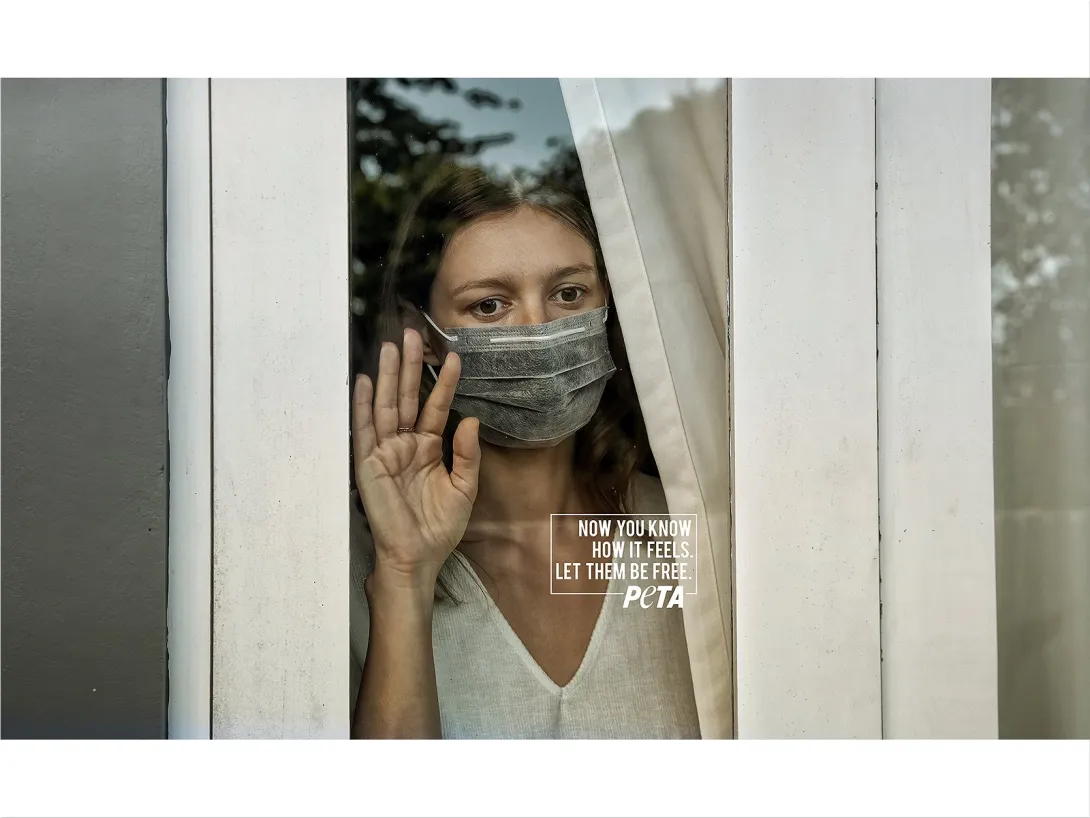 PETA print advertisement