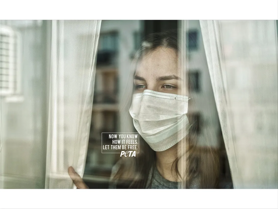 PETA print advertisement