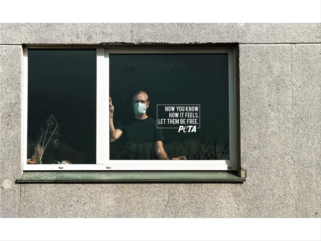 PETA print advertisement