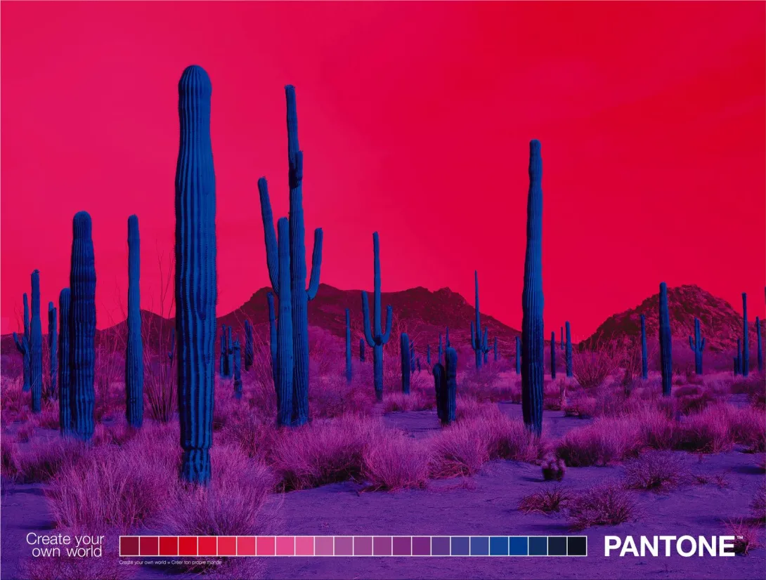 Pantone "Create Your Own World"