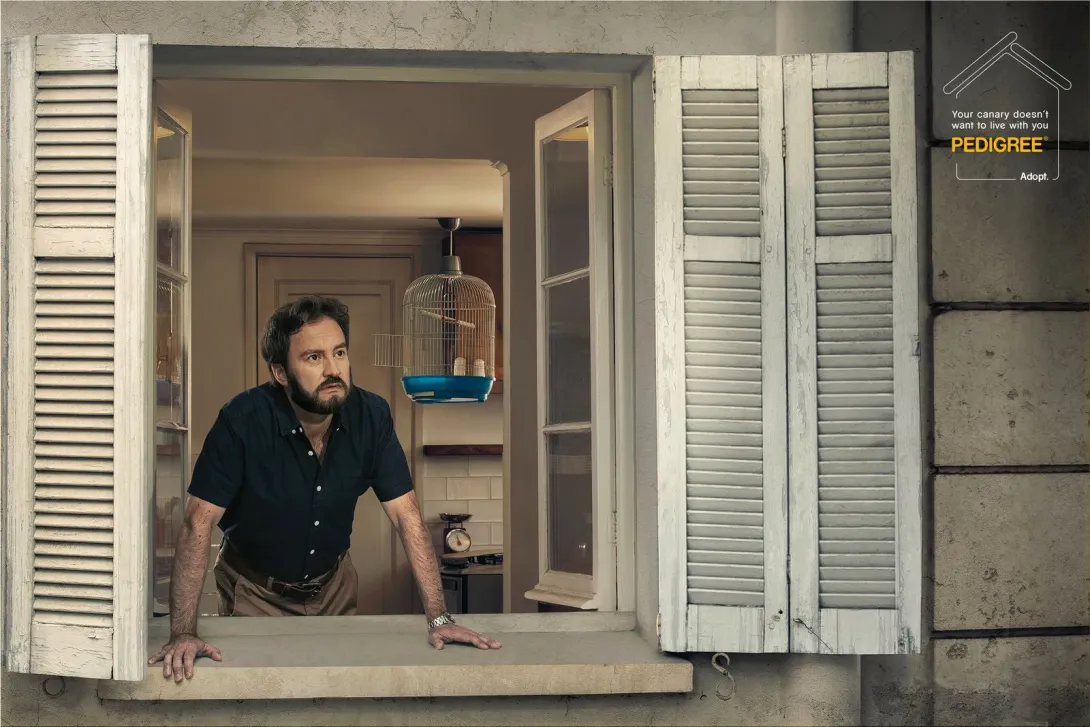 Pedigree "Your canary doesn't want to live with you"