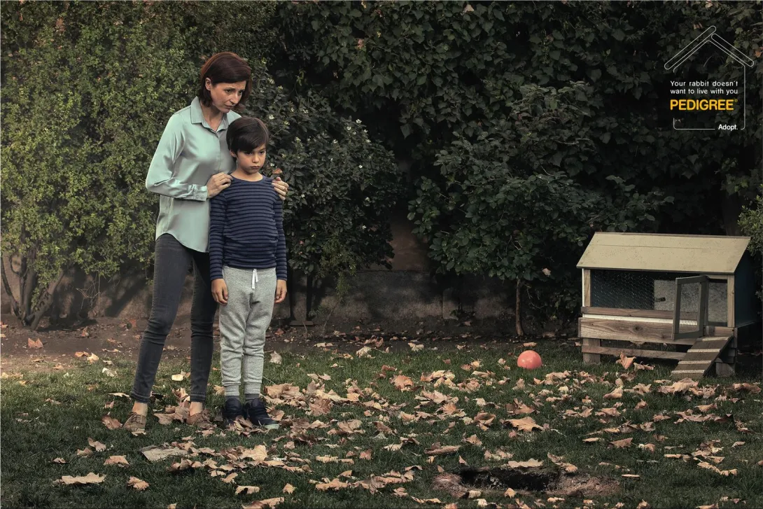 Pedigree "Your canary doesn't want to live with you"