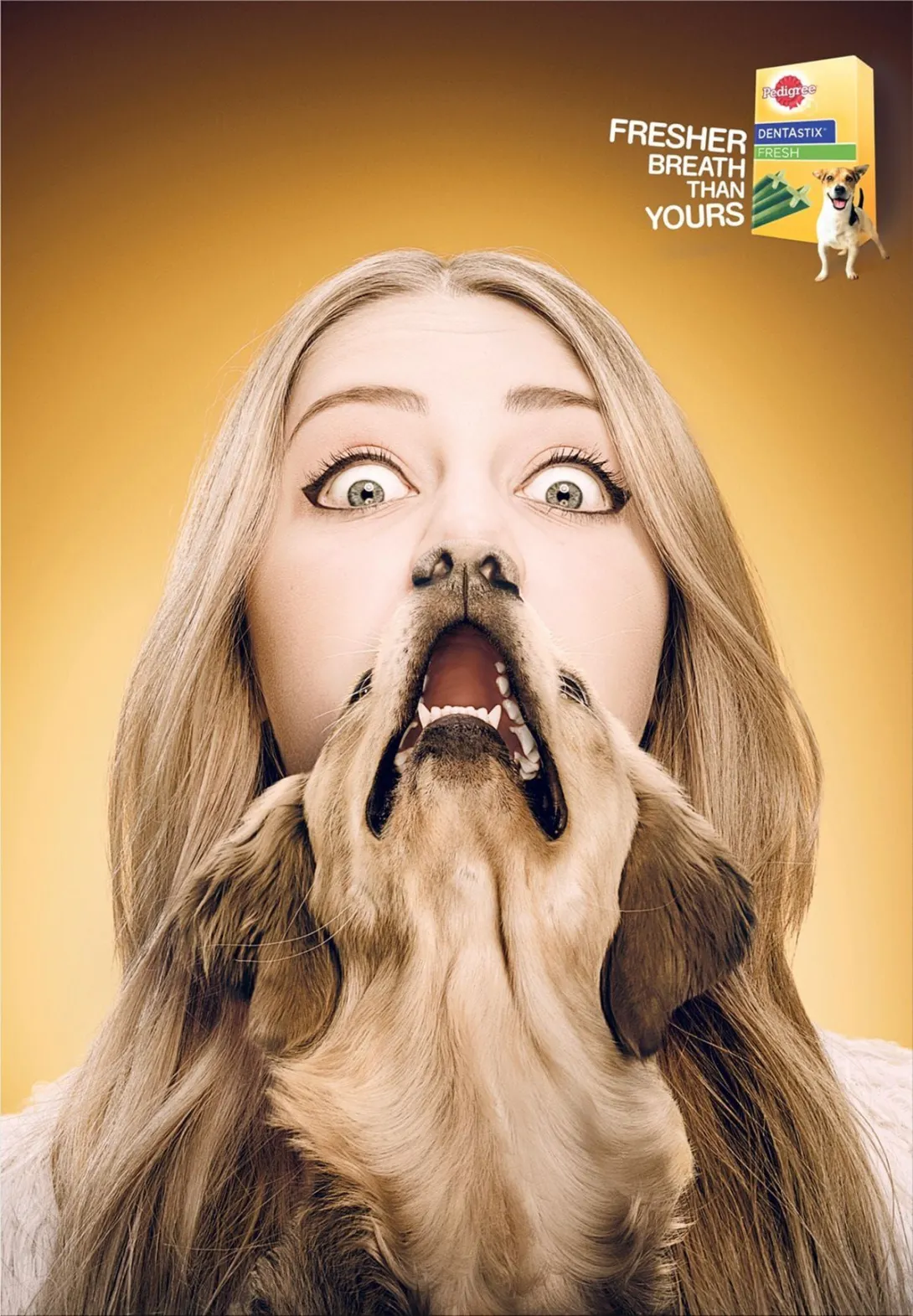 Pedigree print ads