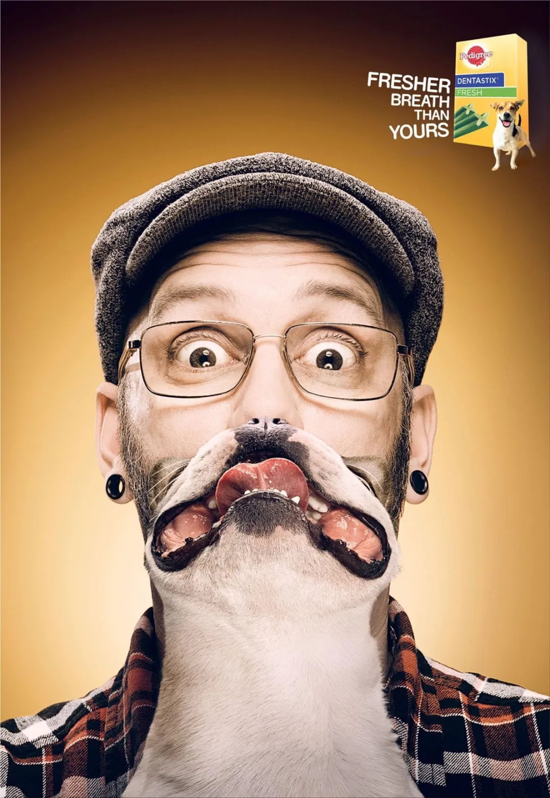 Pedigree print ads