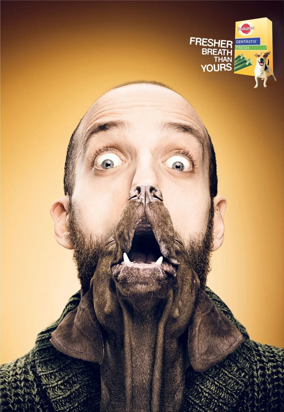 Pedigree print ads