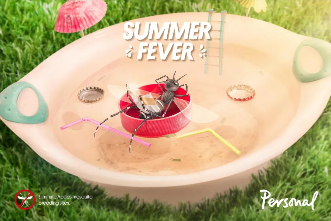 Personal "Eliminate Aedes mosquito breeding sites"