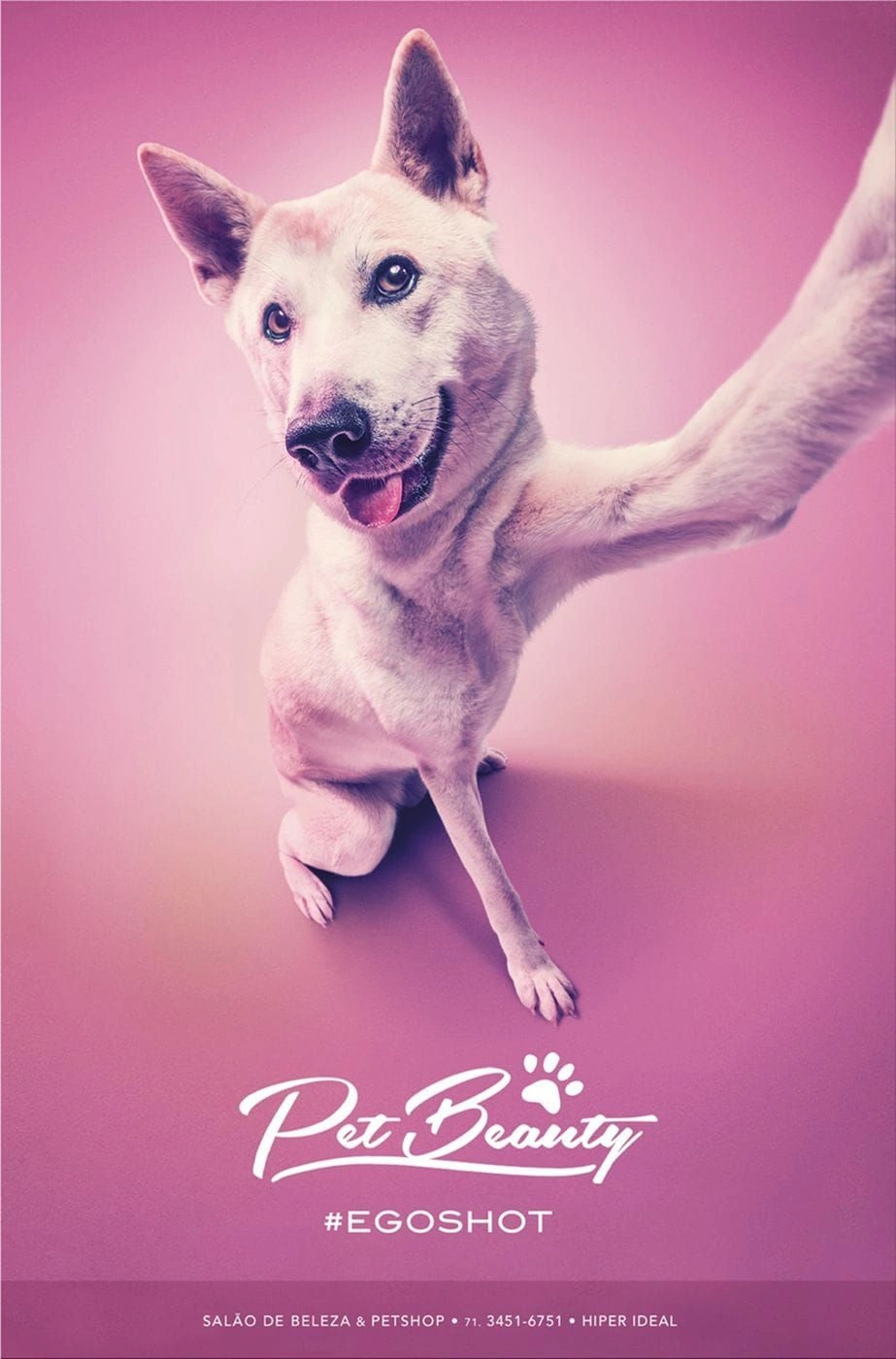 PetBeauty ads