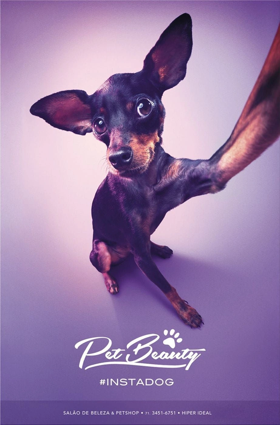 PetBeauty