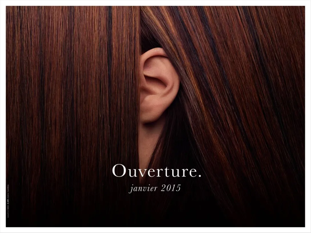 Philharmonie Brown Hair