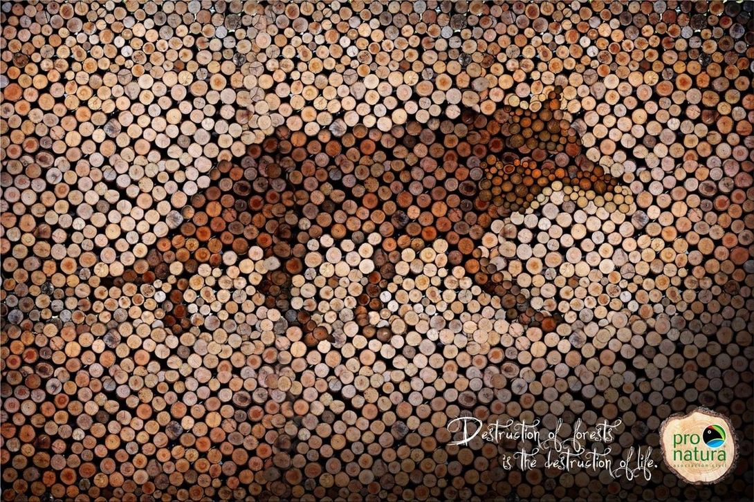 Pro-Natura print ad