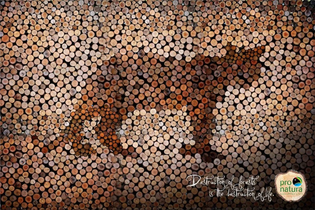 Pro-Natura print ad