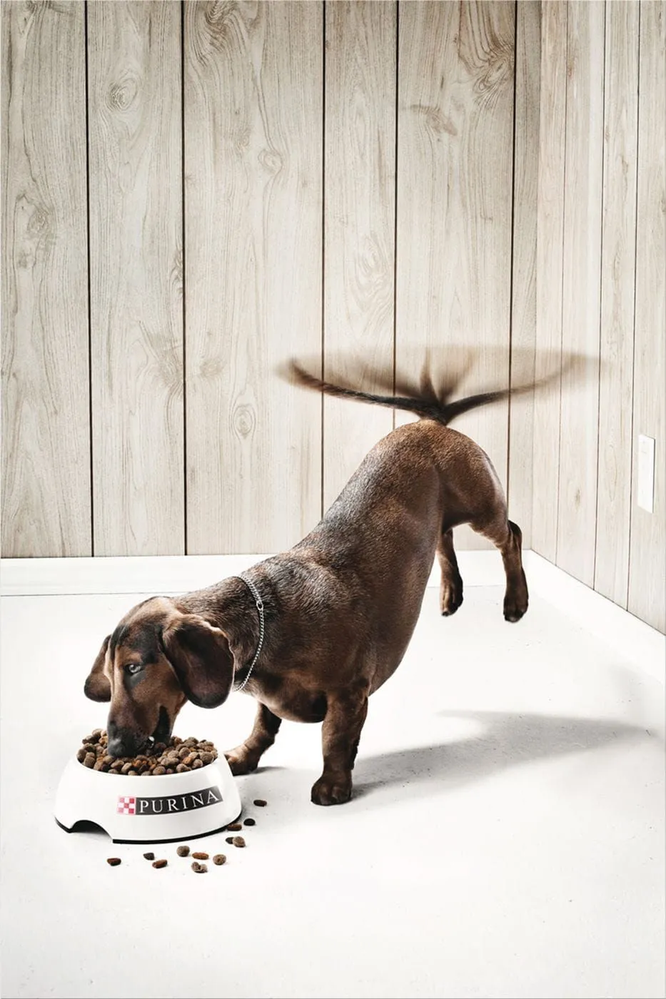 Purina ads