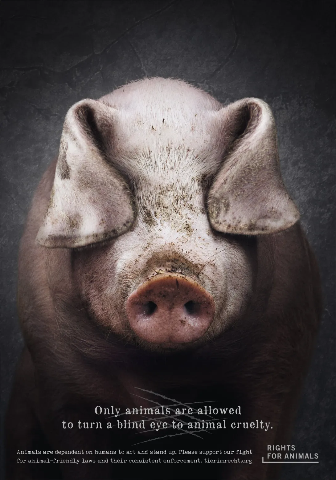 Rights for Animals advertisements