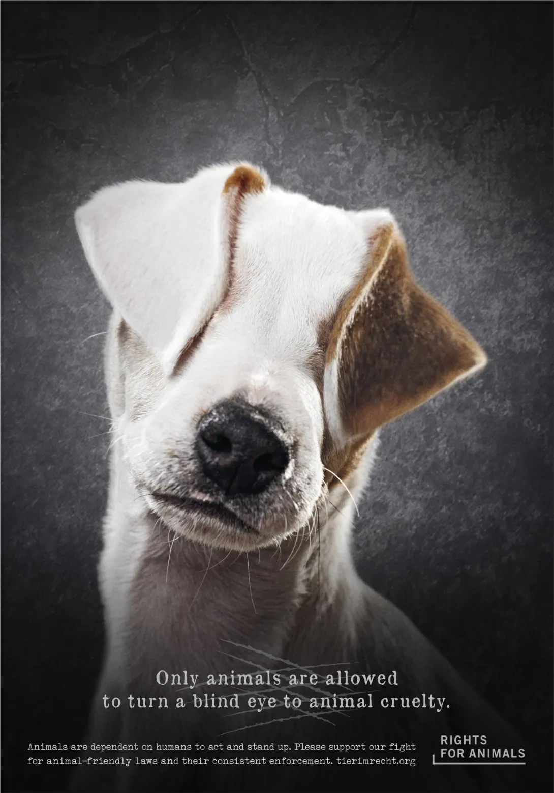 Rights for Animals advertisements