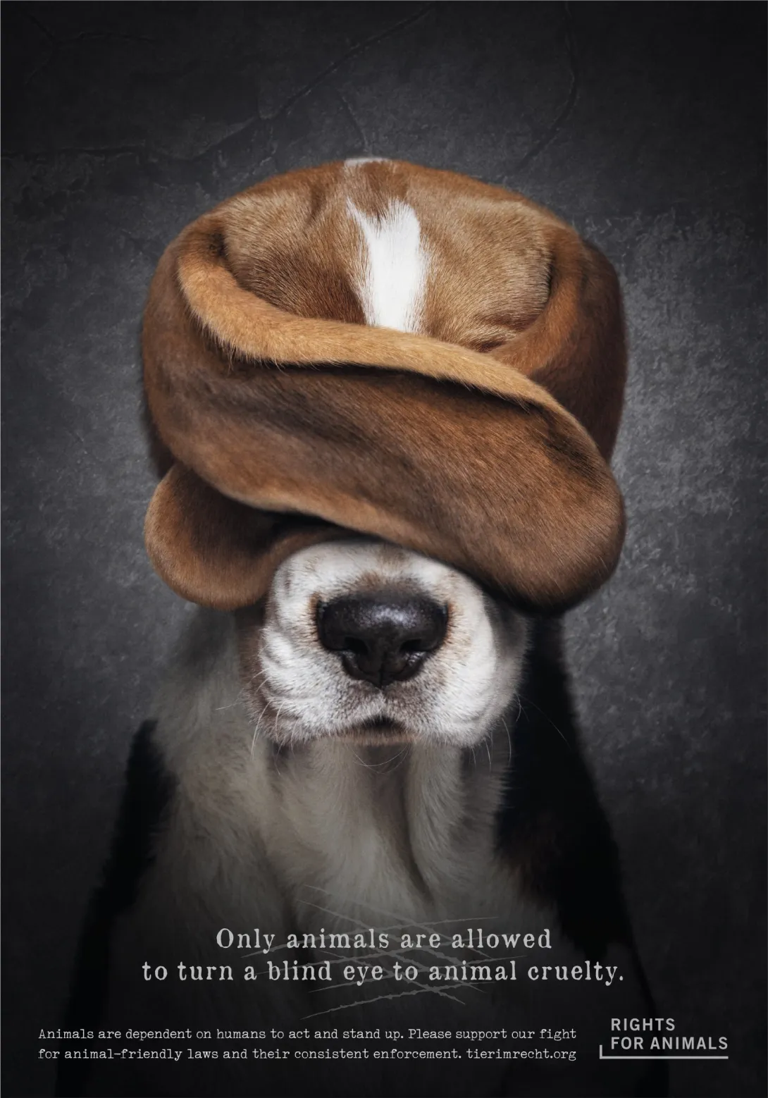 Rights for Animals advertisements