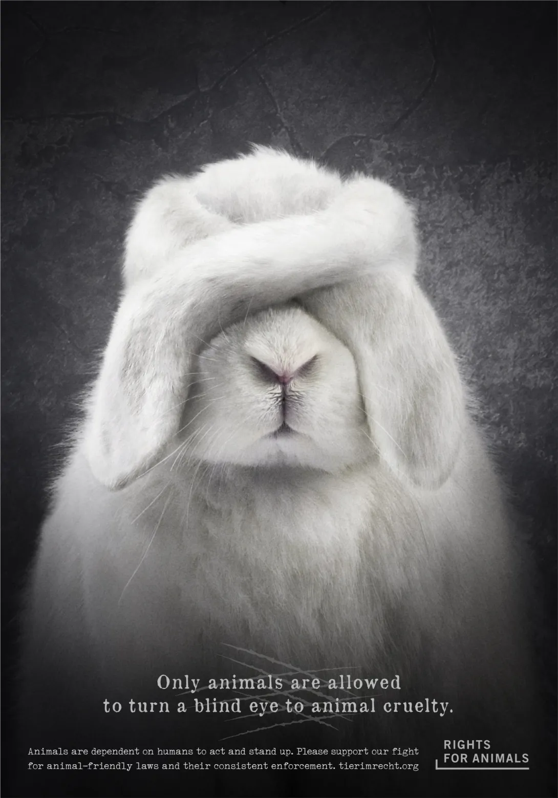 Rights for Animals advertisements