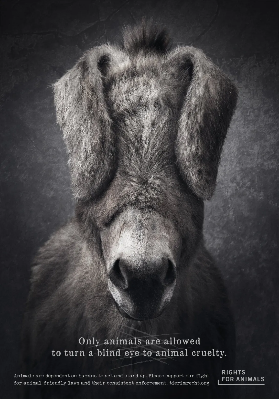 Rights for Animals advertisements