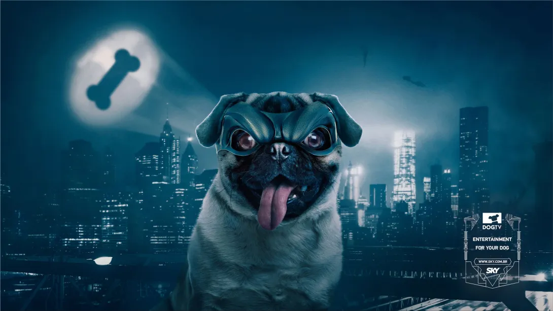 SKY "Entertainment for your dog"
