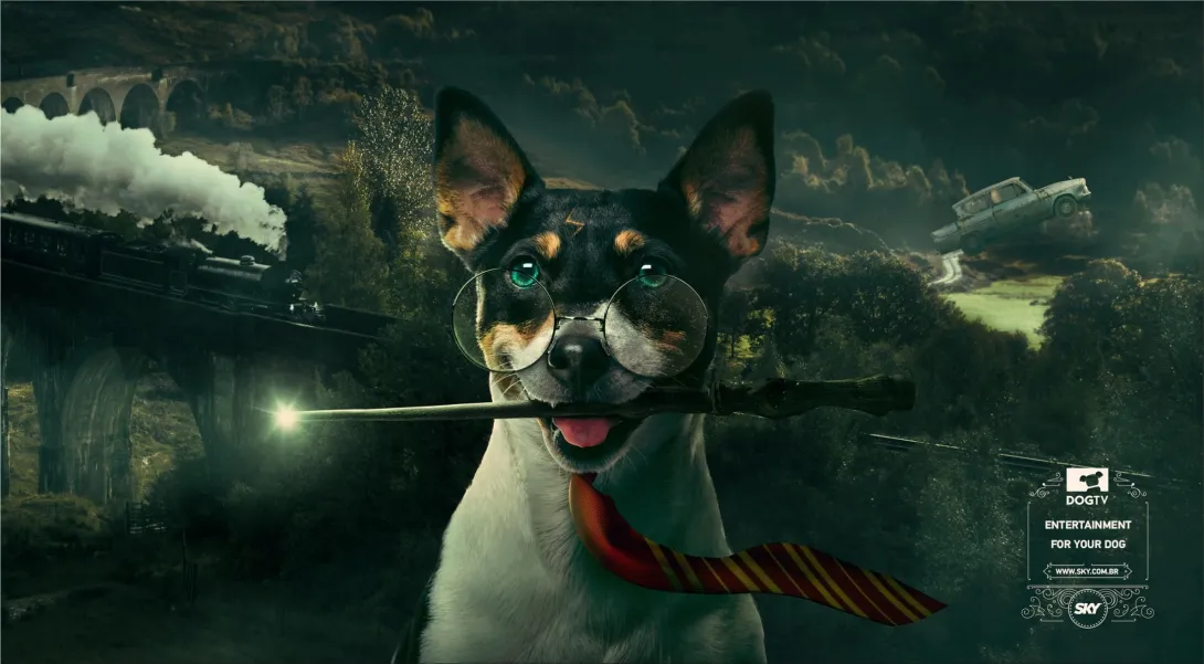 SKY "Entertainment for your dog"
